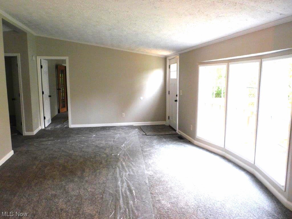 6045 Gore Road Ashtabula, OH 44004 - Photo 10 of 23 living room view B featuring a textured ceiling, vaulted ceiling, dark colored carpet, and ornamental molding