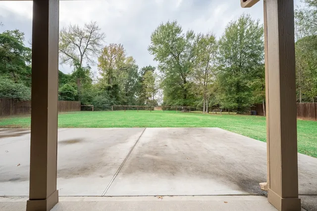 a view of a garden with large trees