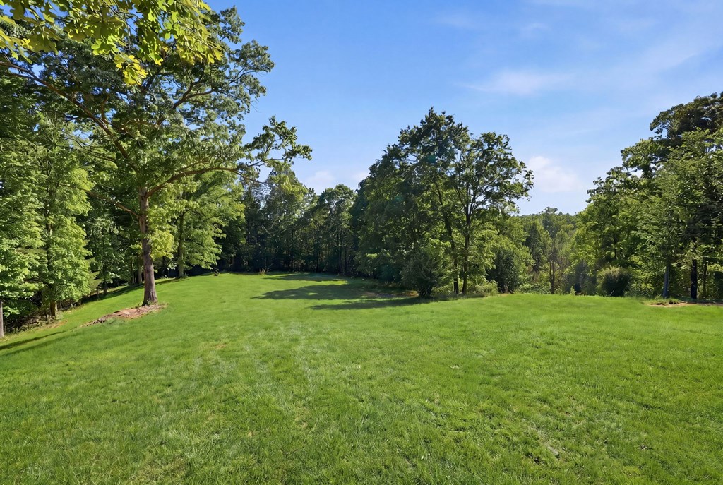 1823 Shoal Creek Road Clarkesville, GA 30523 - Photo 108 of 149 a view of a grassy field with trees in the background