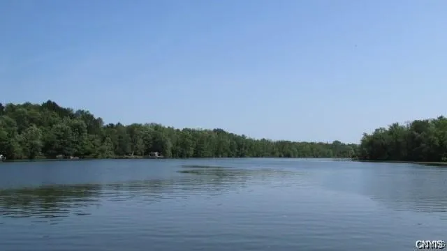 $949,870 | 8835-water Gaskin Road, Clay, NY 13041