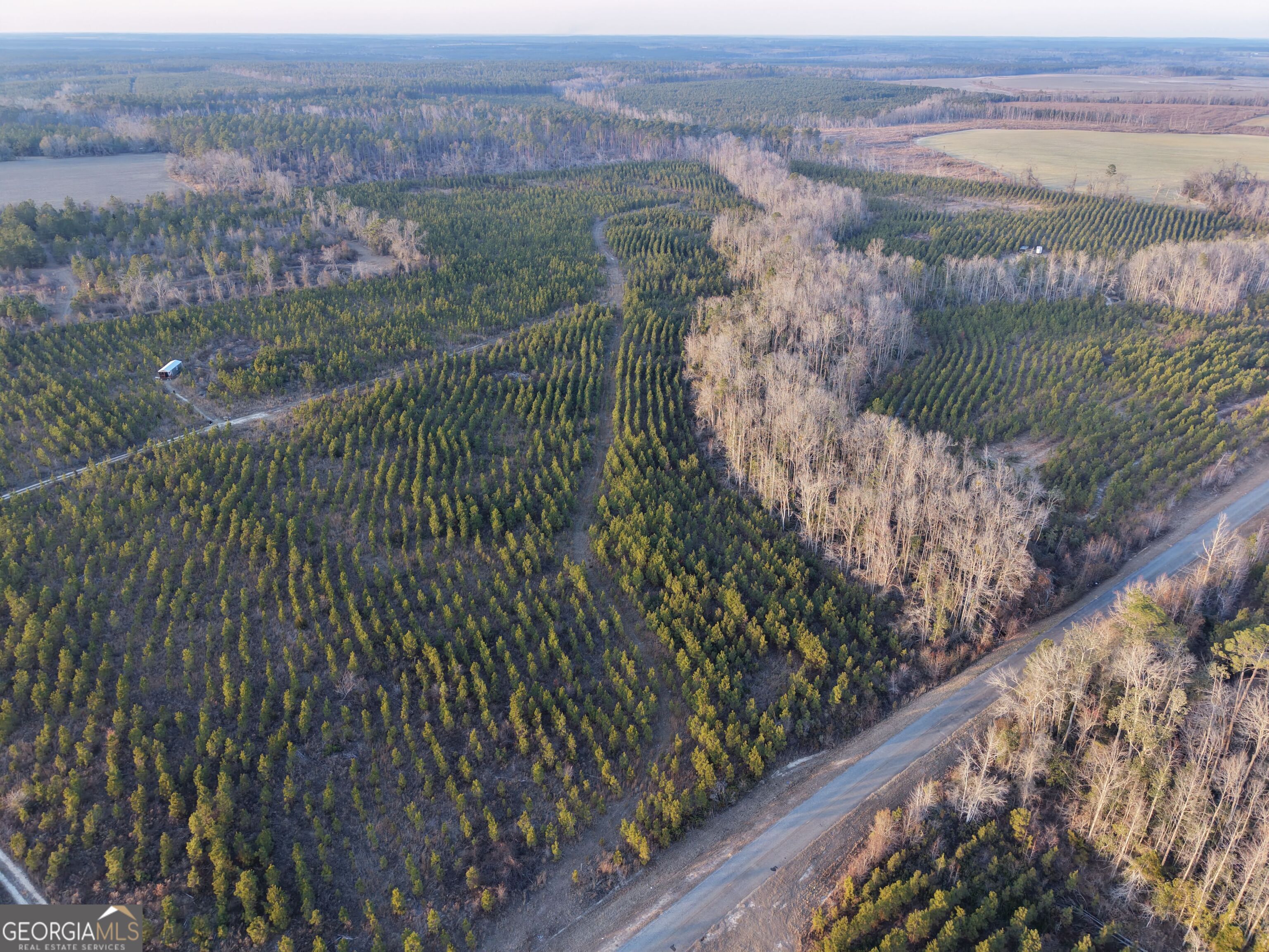 4 Powell School Road Lumber City, GA 31549 - Photo 11 of 15