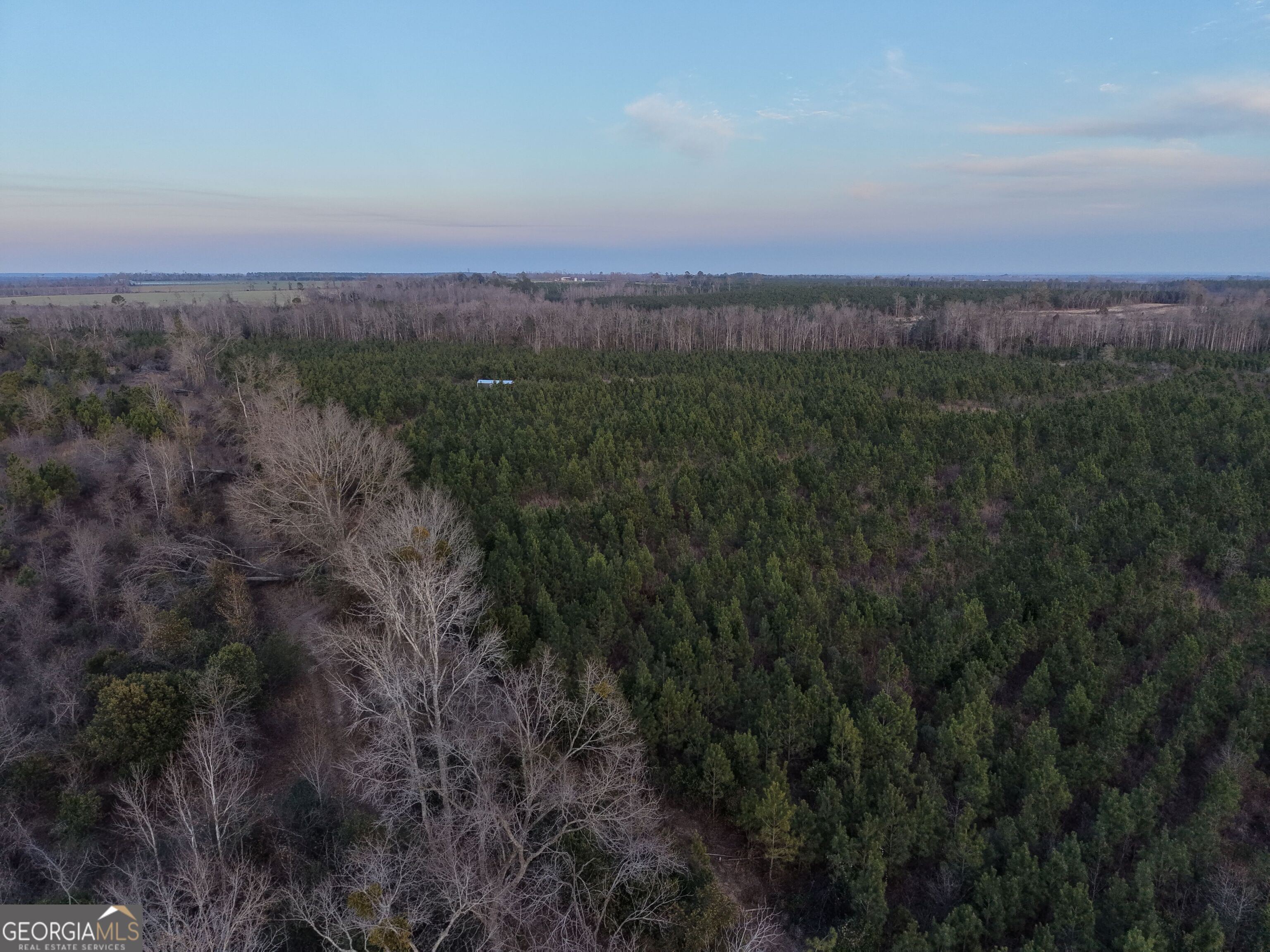 4 Powell School Road Lumber City, GA 31549 - Photo 13 of 15