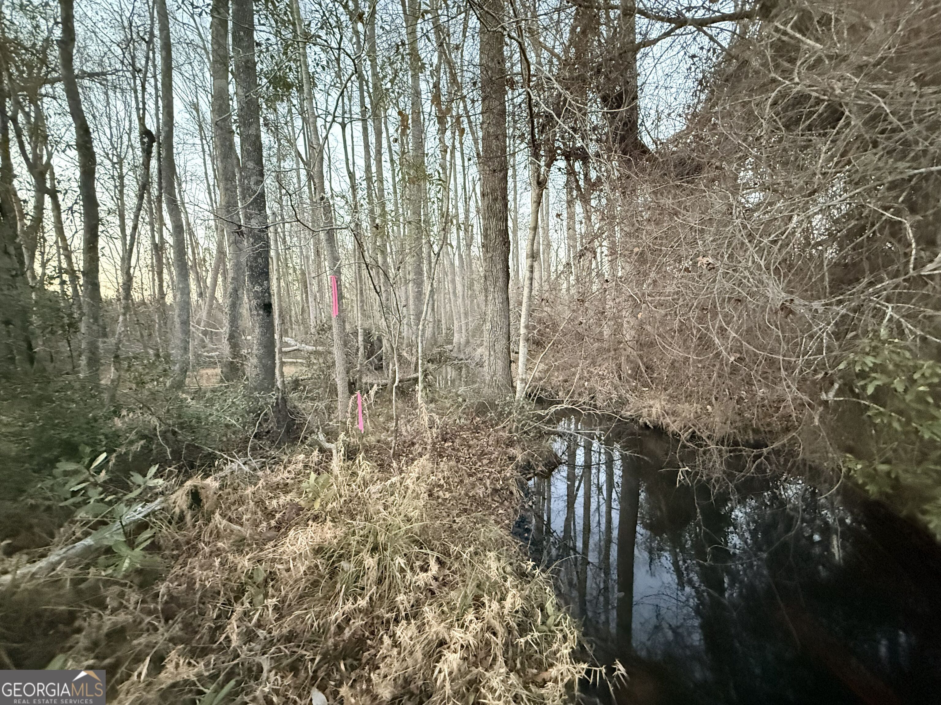 4 Powell School Road Lumber City, GA 31549 - Photo 4 of 15