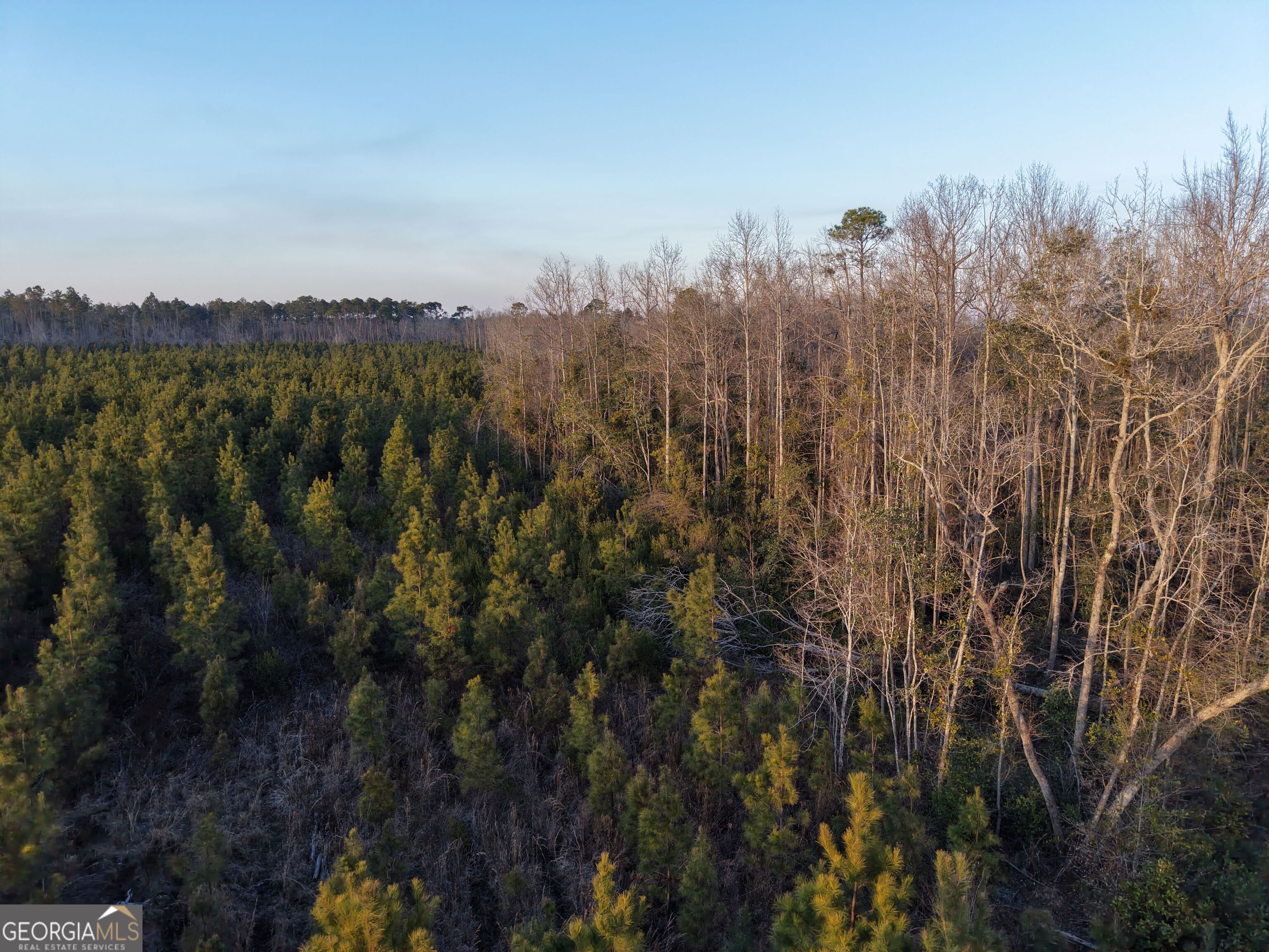 4 Powell School Road Lumber City, GA 31549 - Photo 5 of 15