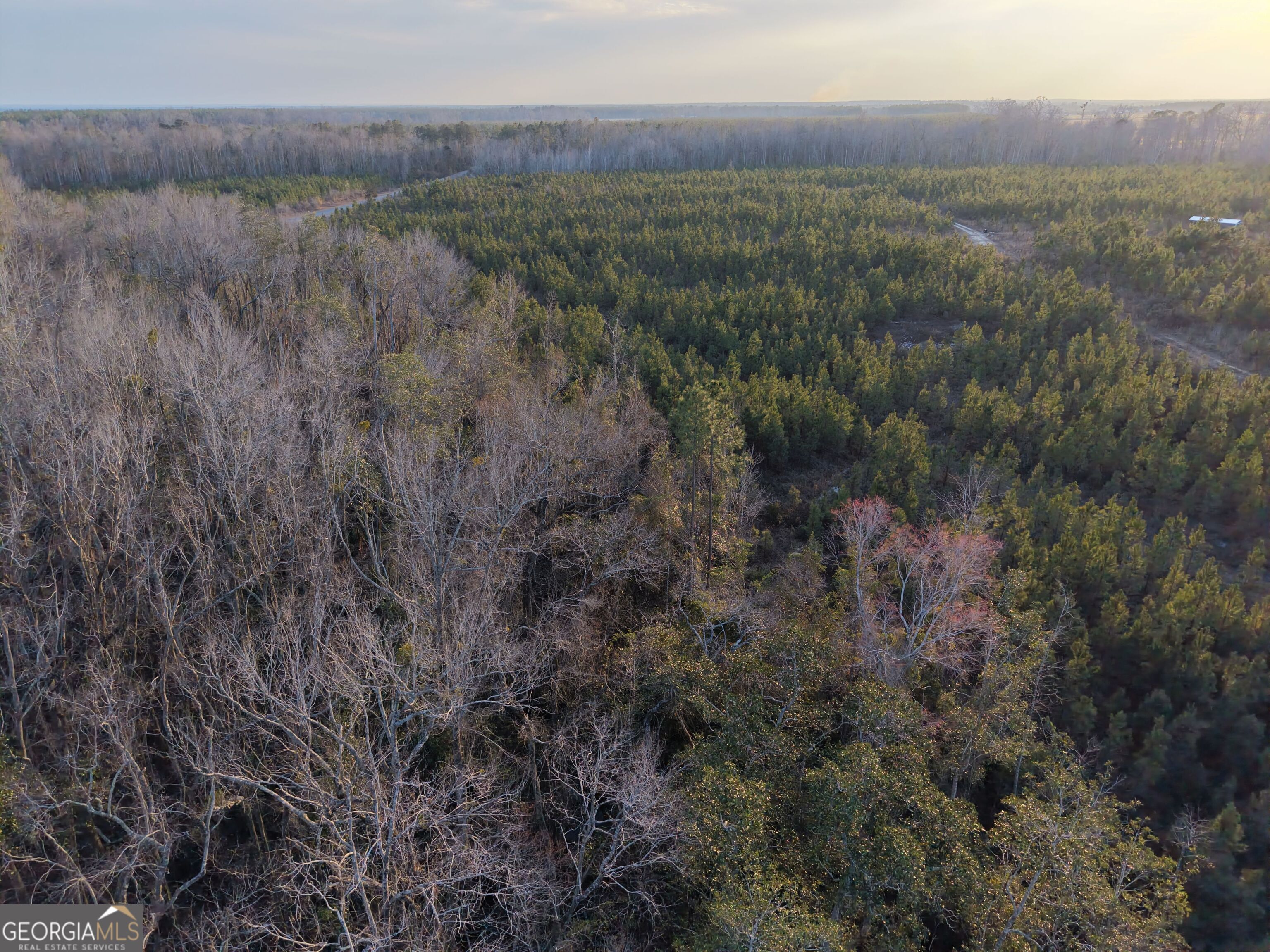 4 Powell School Road Lumber City, GA 31549 - Photo 7 of 15