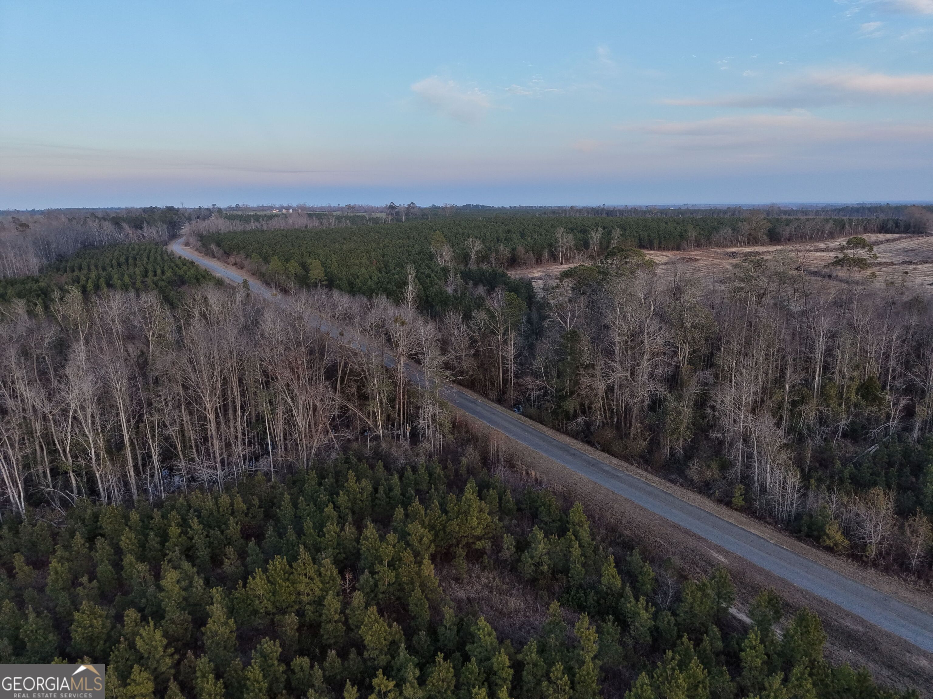 4 Powell School Road Lumber City, GA 31549 - Photo 8 of 15