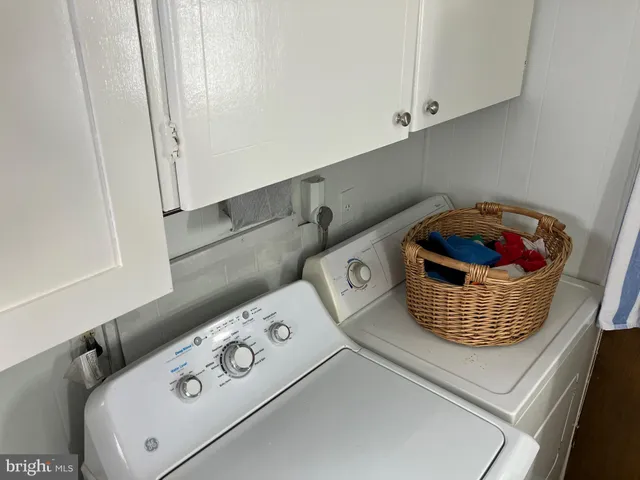 a shelf with a sink and a potted plant