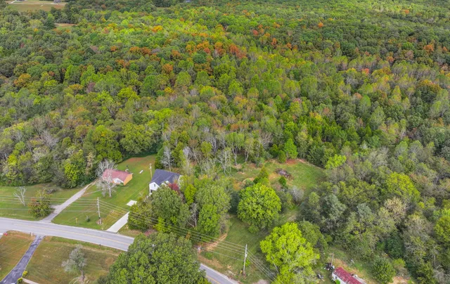 a view of a plant with lots of bushes