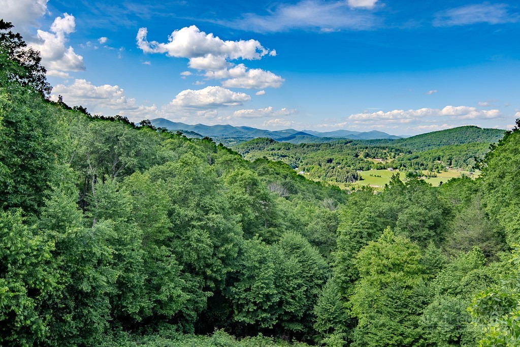 354 Brown Mountain Ridge Road Blowing Rock, NC 28605 - Photo 1 of 48
