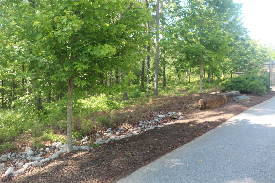 Tbd Spg Holw Drive Seneca, SC 29672 - Photo 2 of 5
