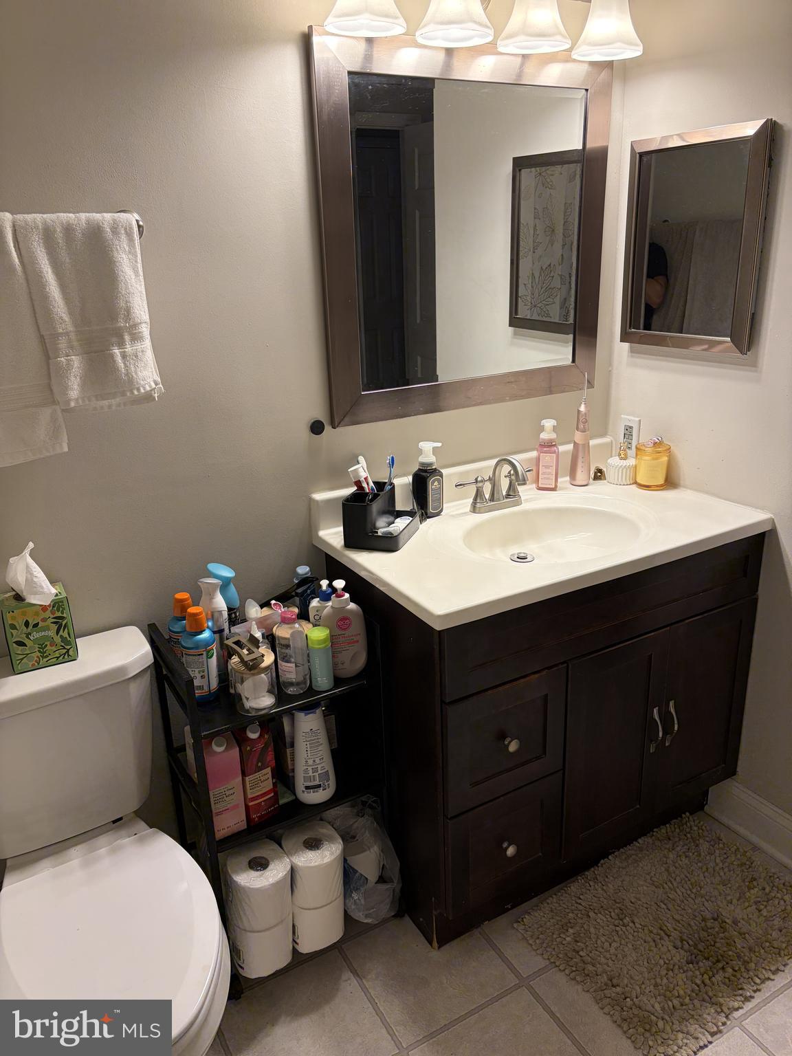 20979 Timber Ridge Terrace, Unit 204 Ashburn, VA 20147 - Photo 4 of 6 a bathroom with a sink and a mirror