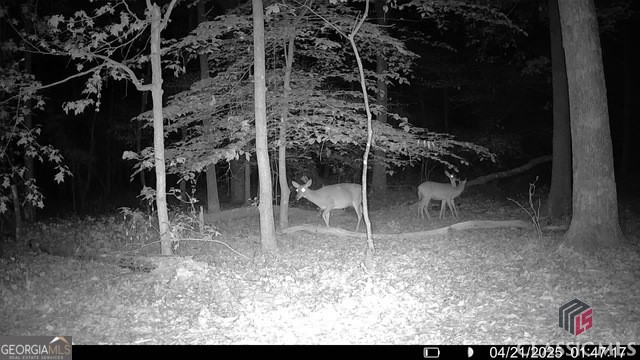 0 Moore Road Elberton, GA 30635 - Photo 65 of 67
