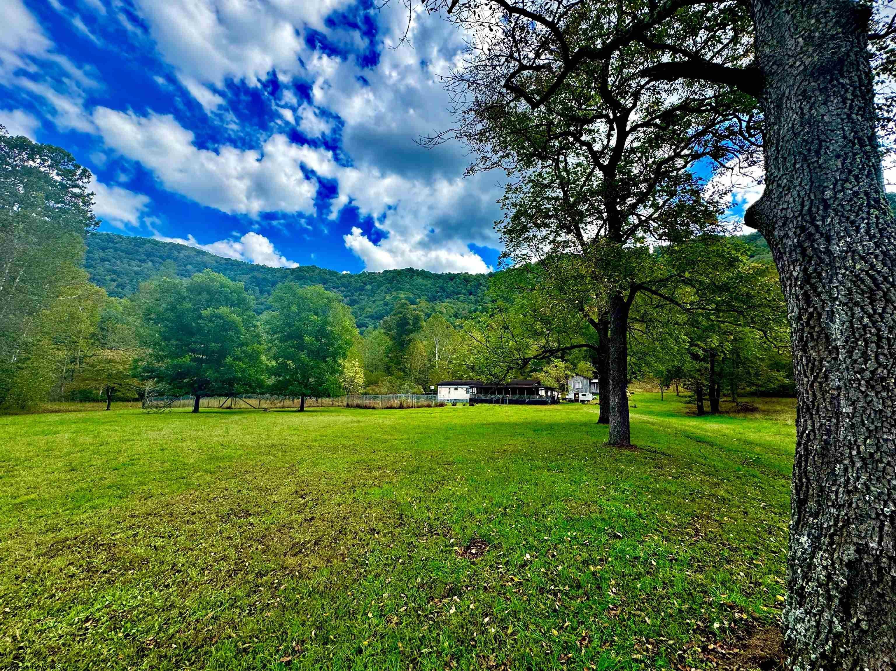4000 Elk River Road Webster Springs, WV 26288 - Photo 7 of 23 Gallery Image 7