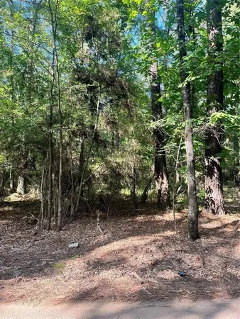 a view of outdoor space with trees