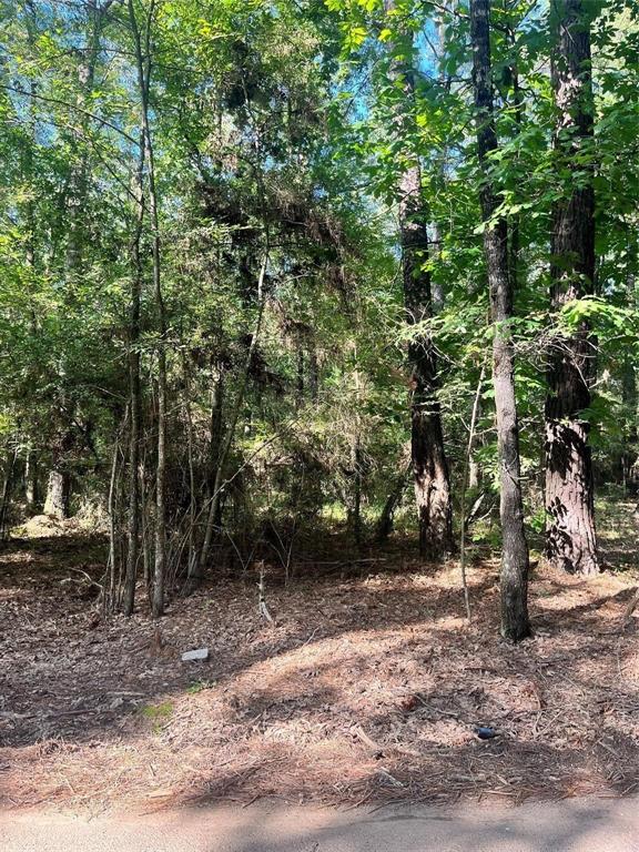 0 Friendship Road Frierson, LA 71027 - Photo 2 of 4