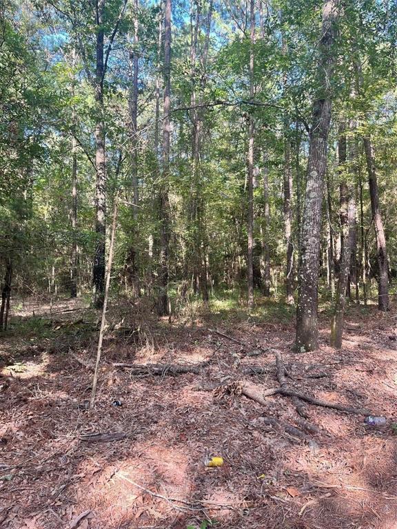 0 Friendship Road Frierson, LA 71027 - Photo 3 of 4