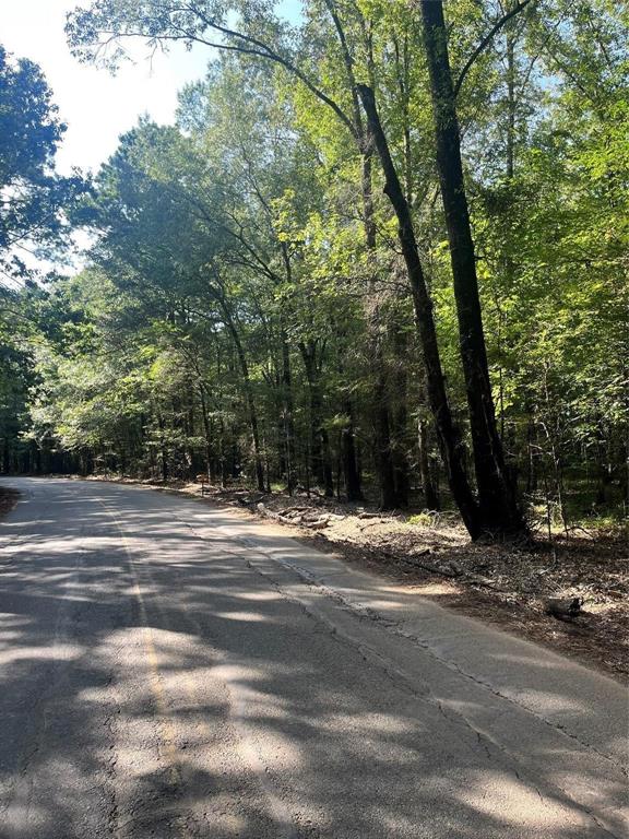 0 Friendship Road Frierson, LA 71027 - Photo 4 of 4