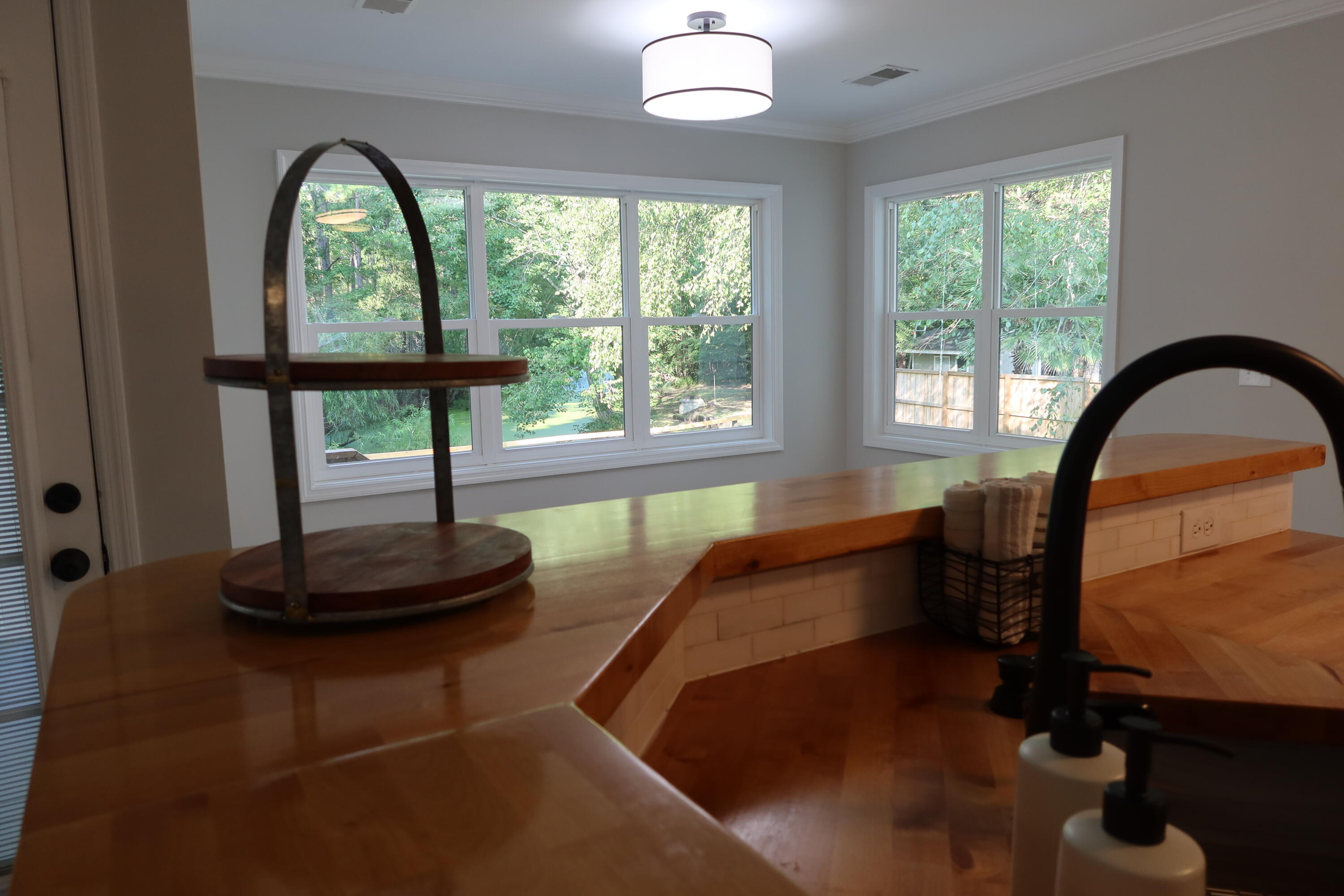 1683 Dotterer's Run Charleston, SC 29414 - Photo 31 of 49 IMG_3636