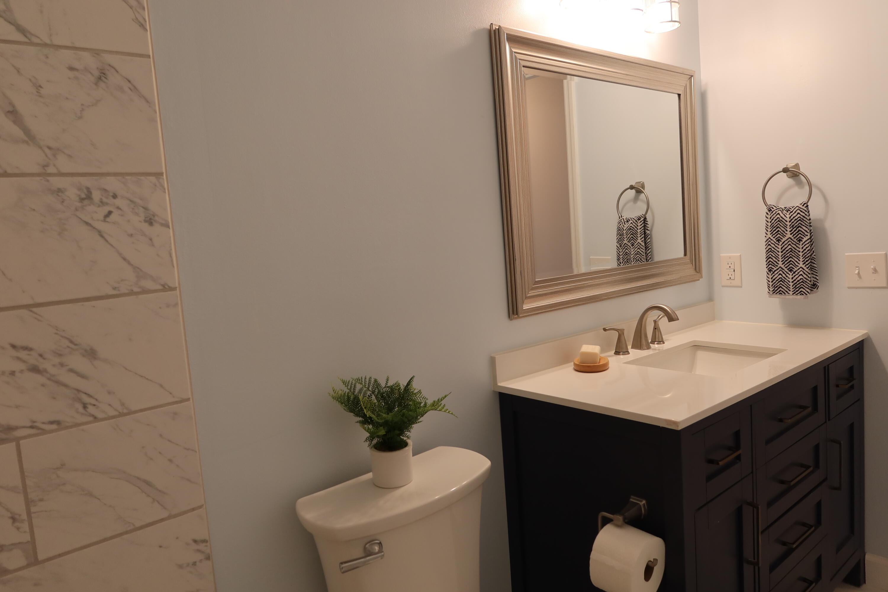 1683 Dotterer's Run Charleston, SC 29414 - Photo 48 of 49 IMG_3661