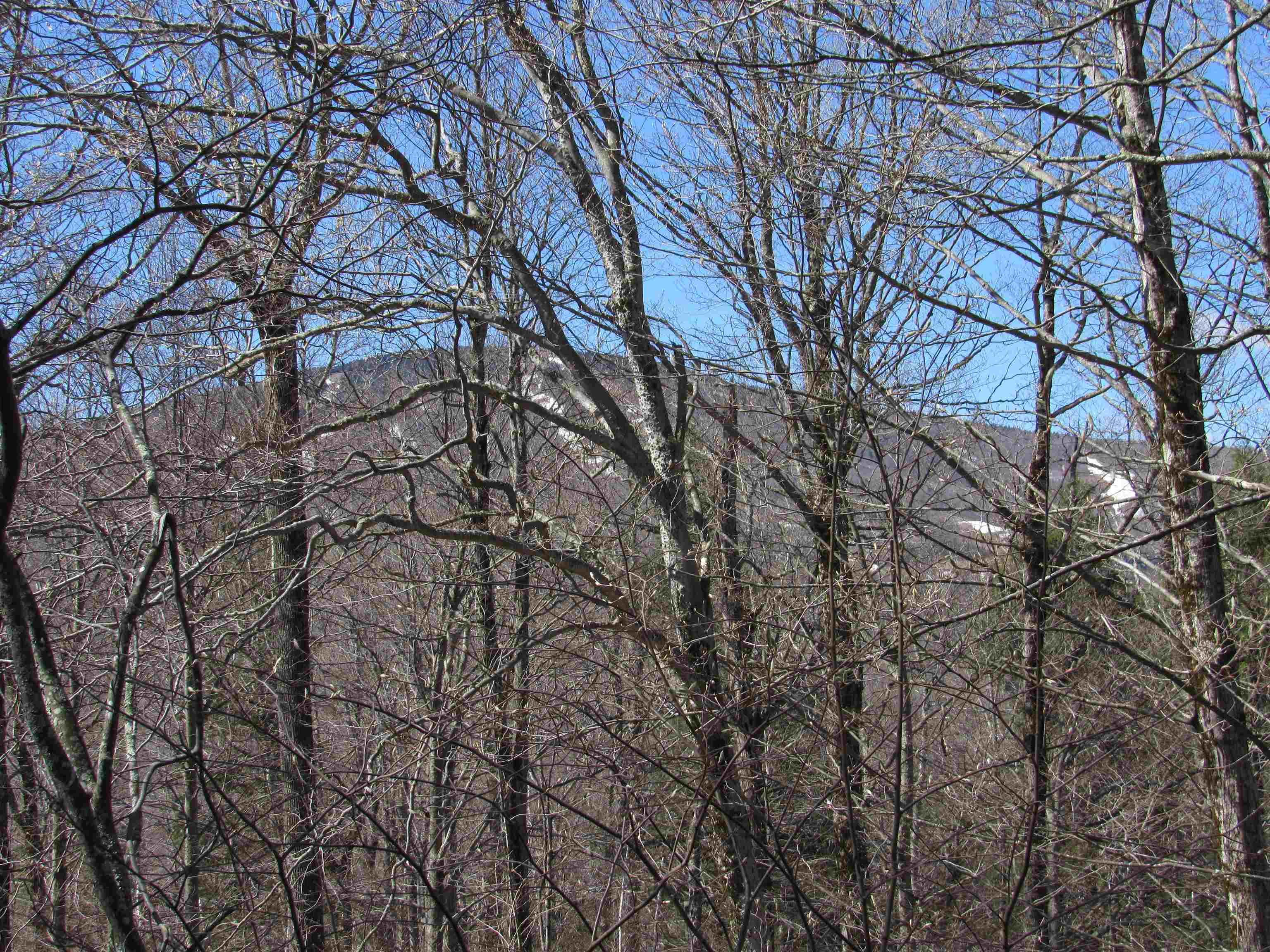 B2 Maple Hill Road Winhall, VT 05340 - Photo 39 of 40