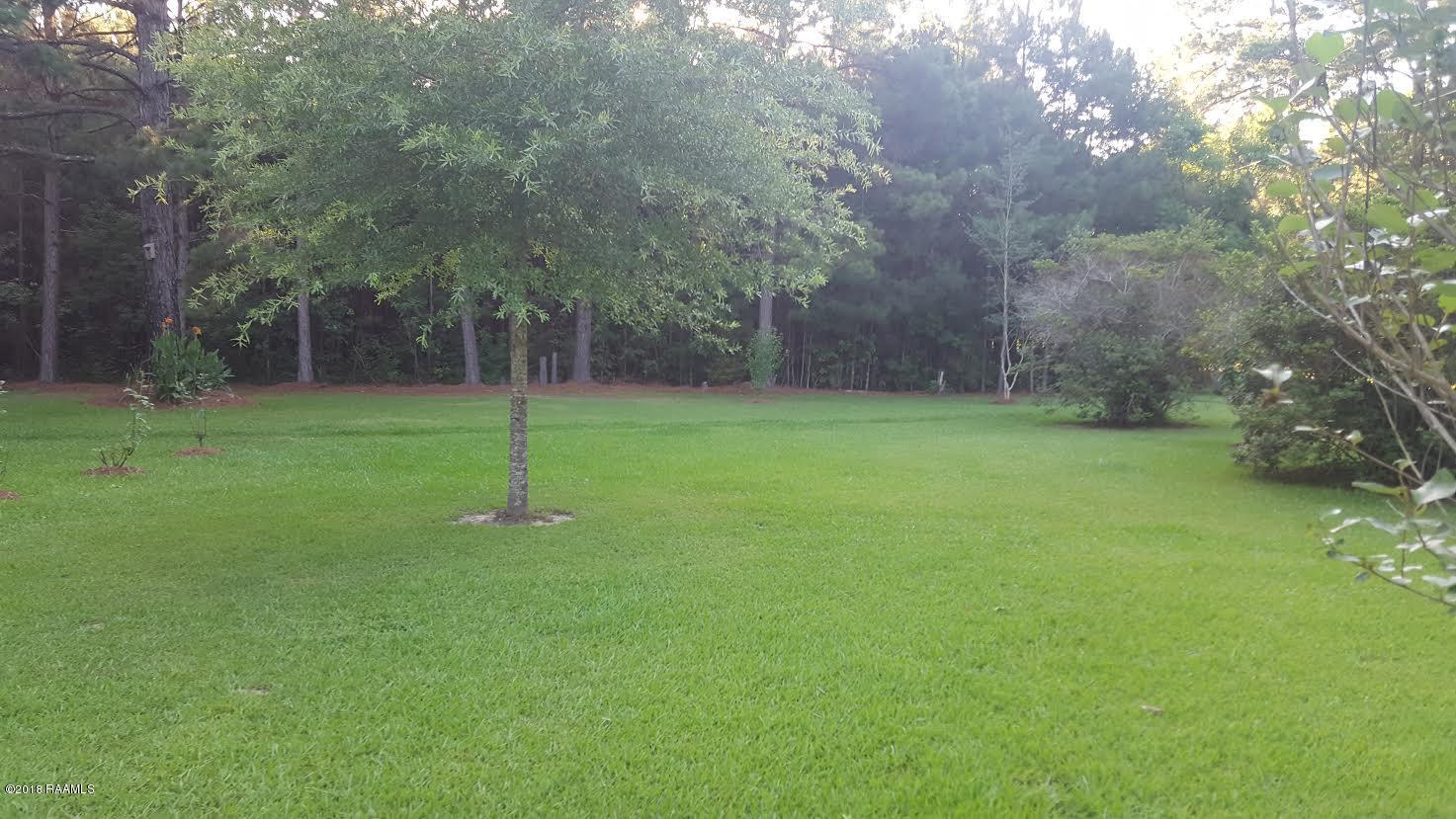 1482 Red Lick Road Ville Platte, LA 70586 - Photo 5 of 26 Gallery Image 5