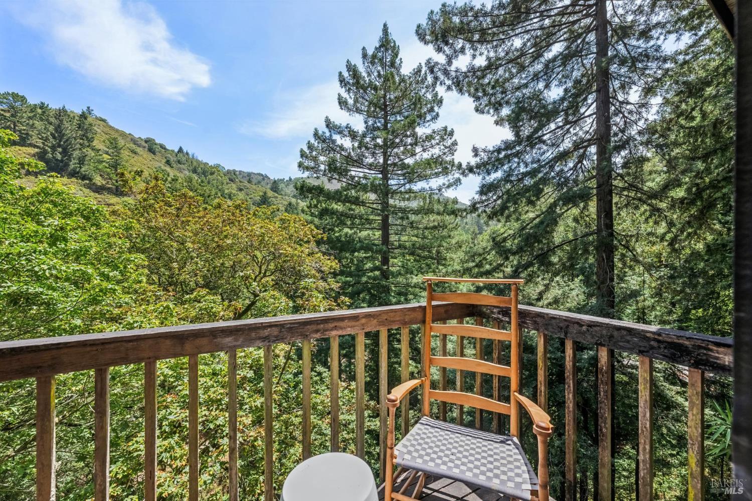 602 Ralston Avenue Mill Valley, CA 94941 - Photo 35 of 44