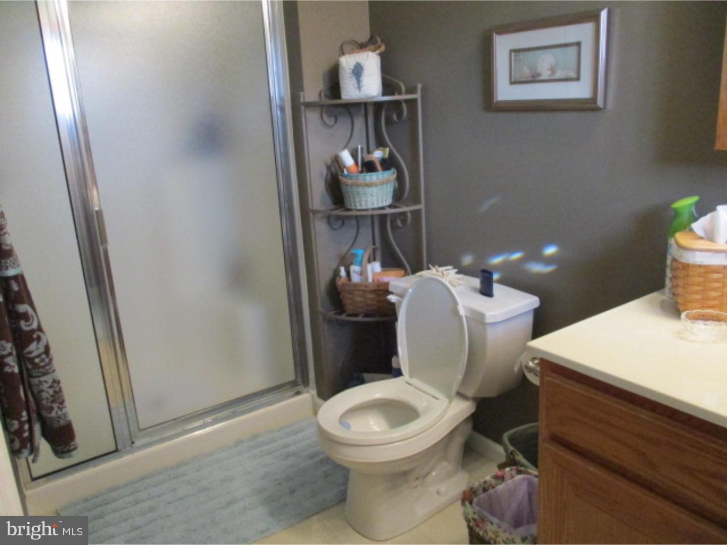 4569 Hillside Road Reading, PA 19606 - Photo 8 of 18 Master Bathroom