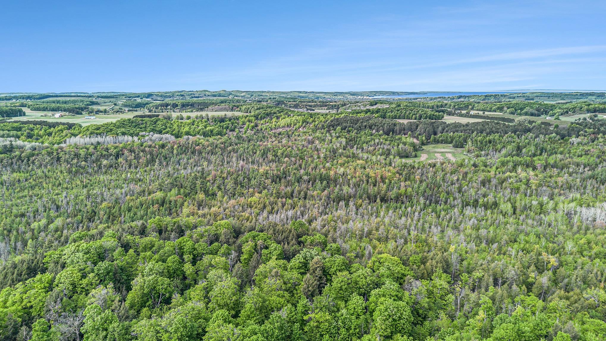 90-acres East Otto Road Suttons Bay, MI 49682 - Photo 53 of 68 Gallery Image 53