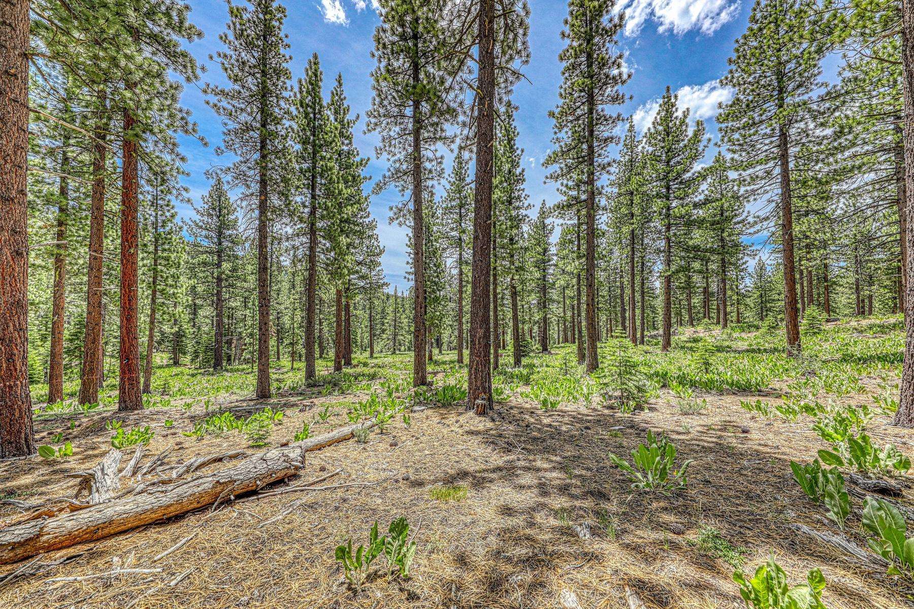 16145 Martis Peak Road Truckee, CA 96161 - Photo 20 of 21