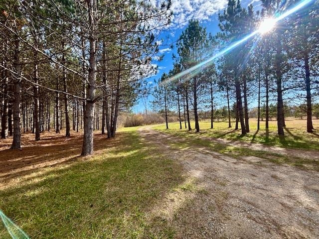 800 West Highwood Road Gladwin, MI 48624 - Photo 15 of 45 Gallery Image 15