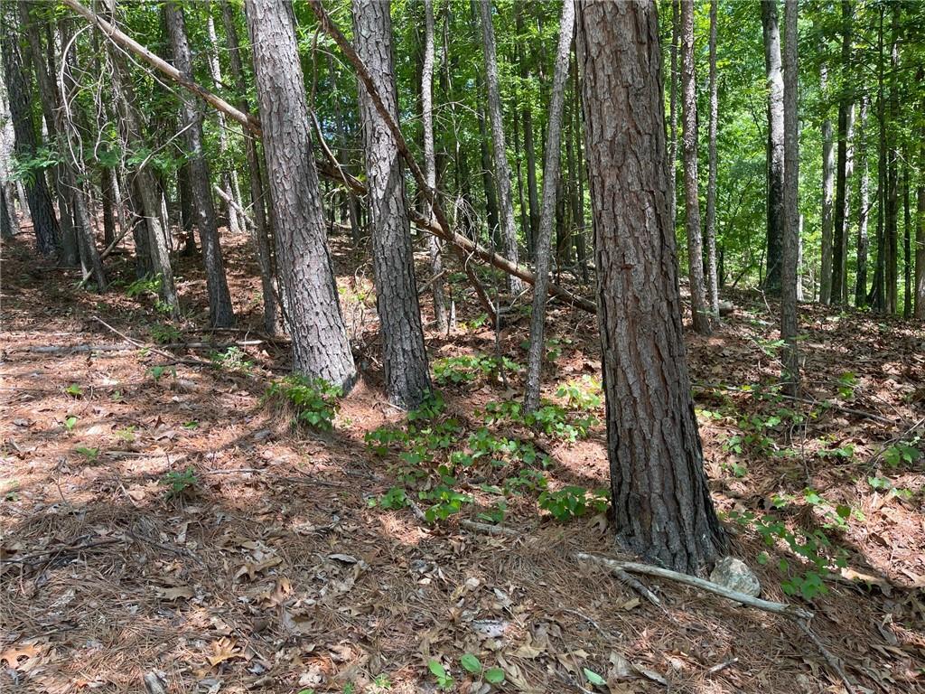 3 Chalcrest Way Cave Spring, GA 30124 - Photo 14 of 57