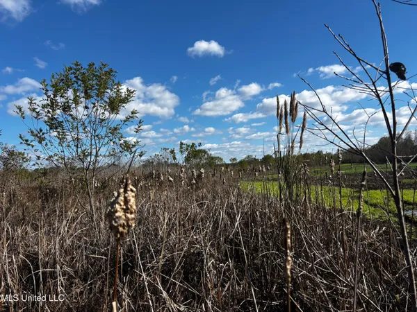 $275,500 | Lake Drive, Dundee, MS 38626