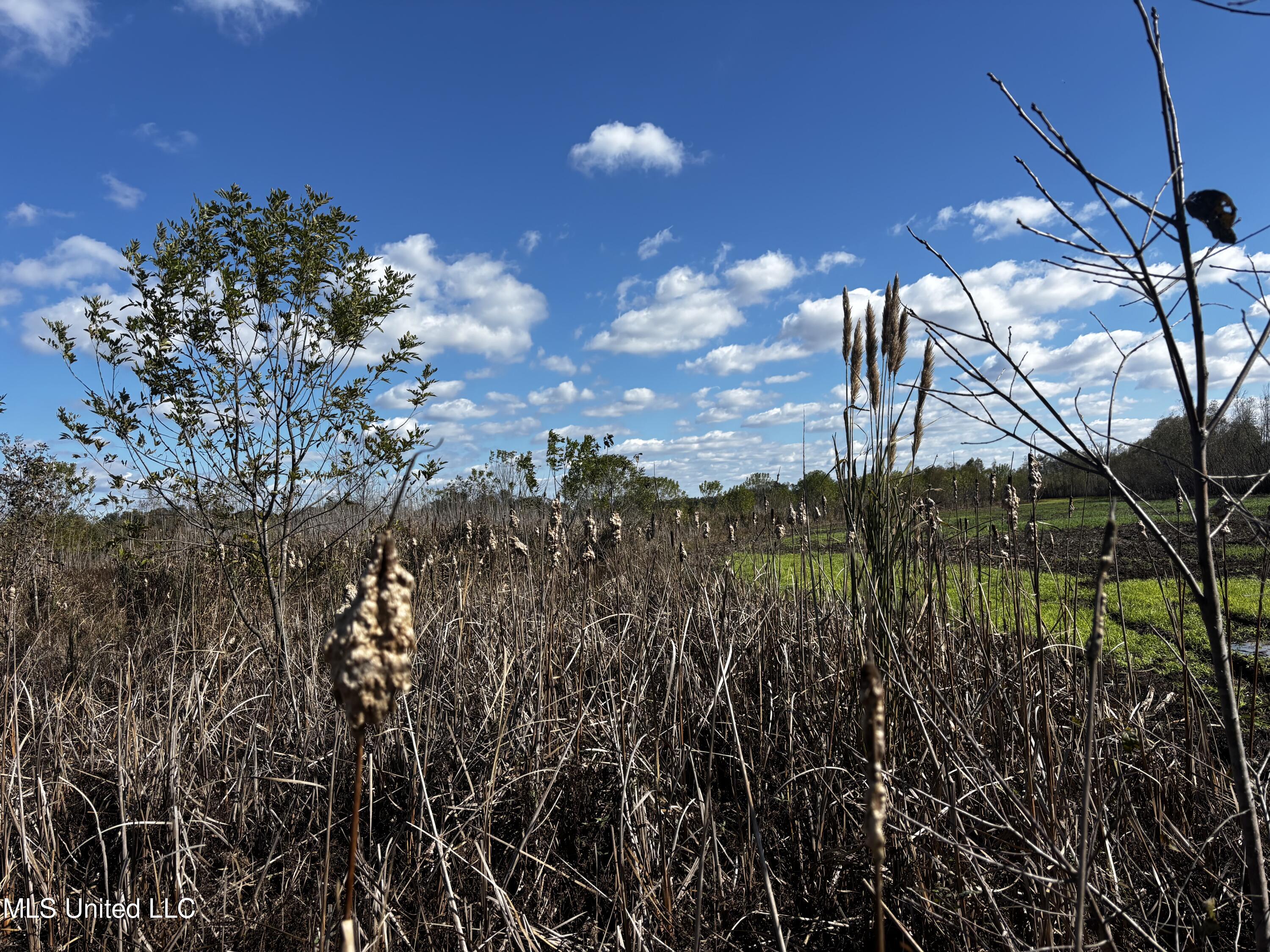 Lake Drive Dundee, MS 38626 - Photo 11 of 20 15