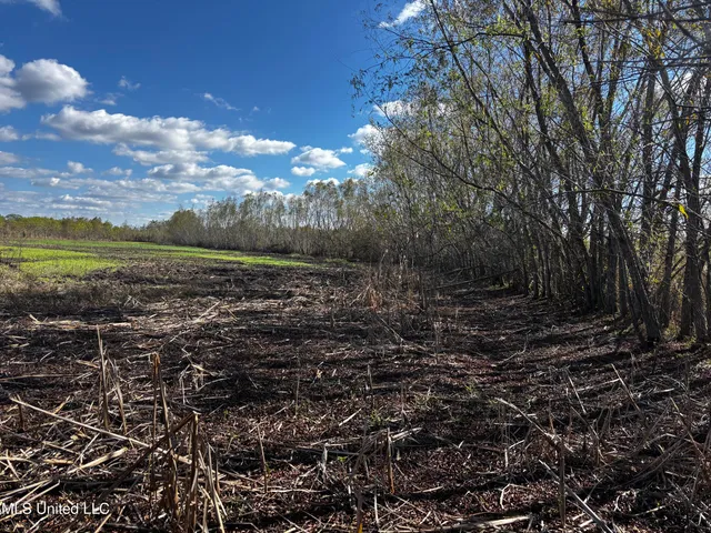 $308,125 | Lake Drive, Dundee, MS 38626