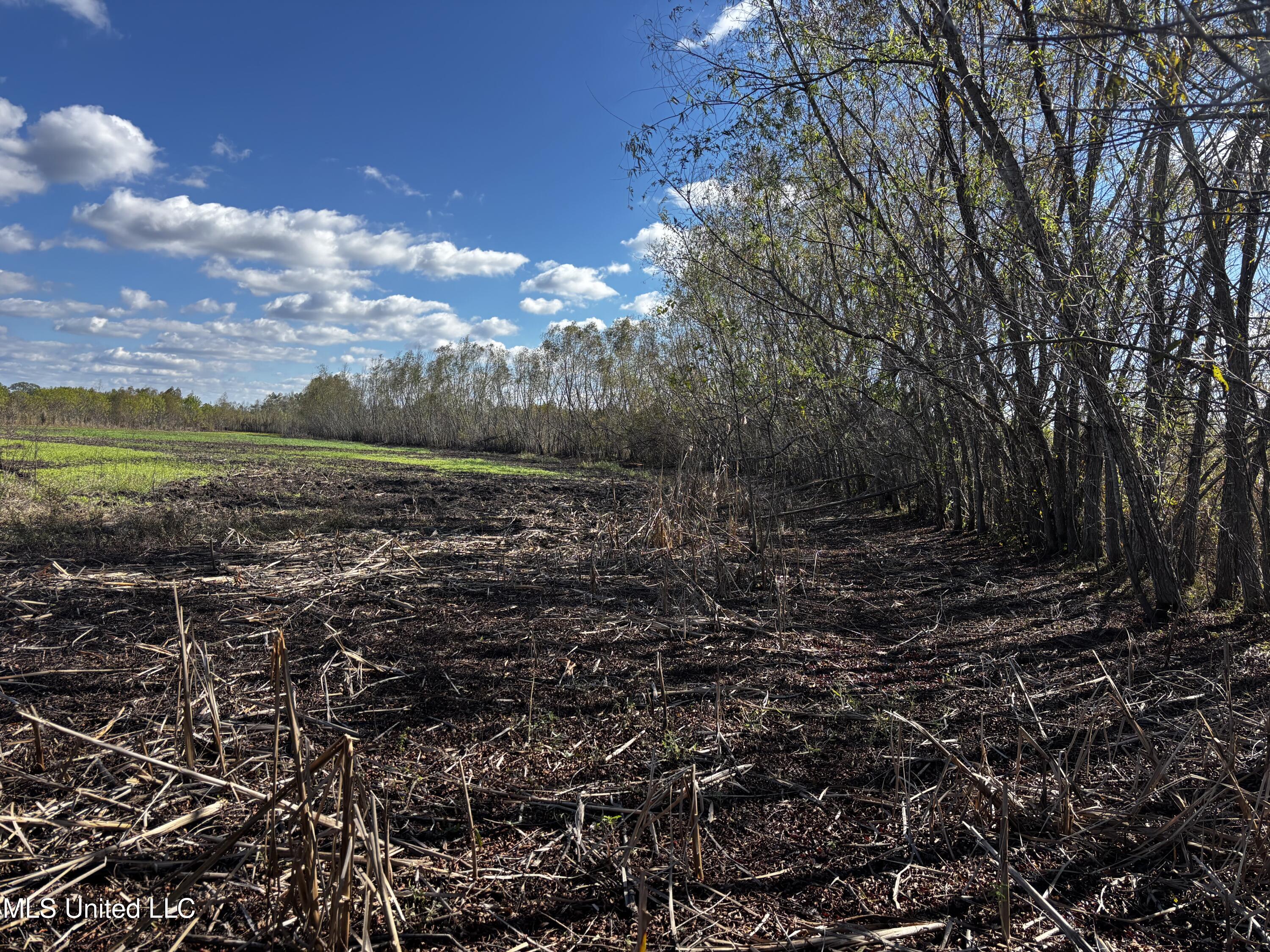 Lake Drive Dundee, MS 38626 - Photo 12 of 20 12