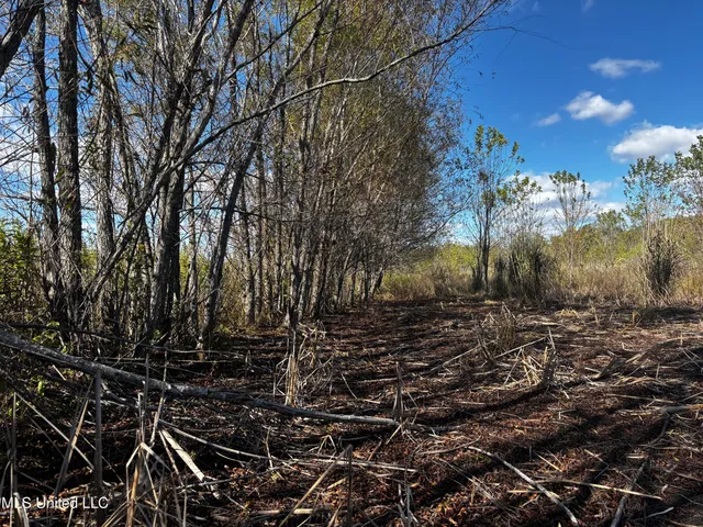 $308,125 | Lake Drive, Dundee, MS 38626