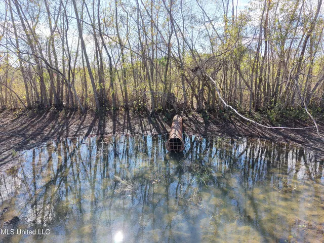 $308,125 | Lake Drive, Dundee, MS 38626