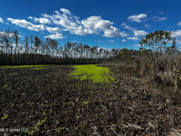 $275,500 | Lake Drive, Dundee, MS 38626