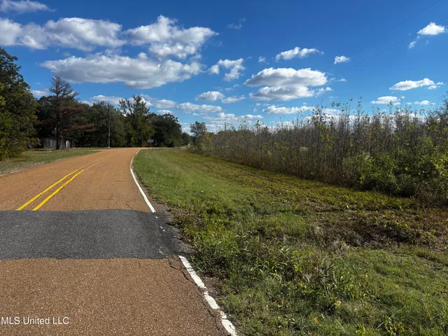 $308,125 | Lake Drive, Dundee, MS 38626