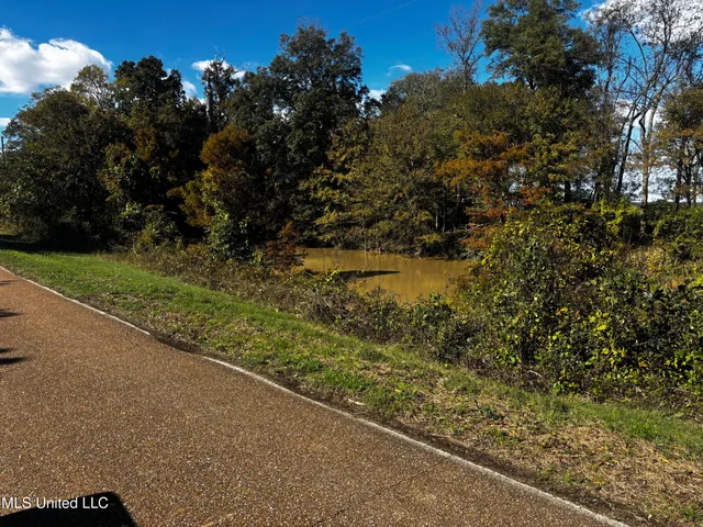 $308,125 | Lake Drive, Dundee, MS 38626