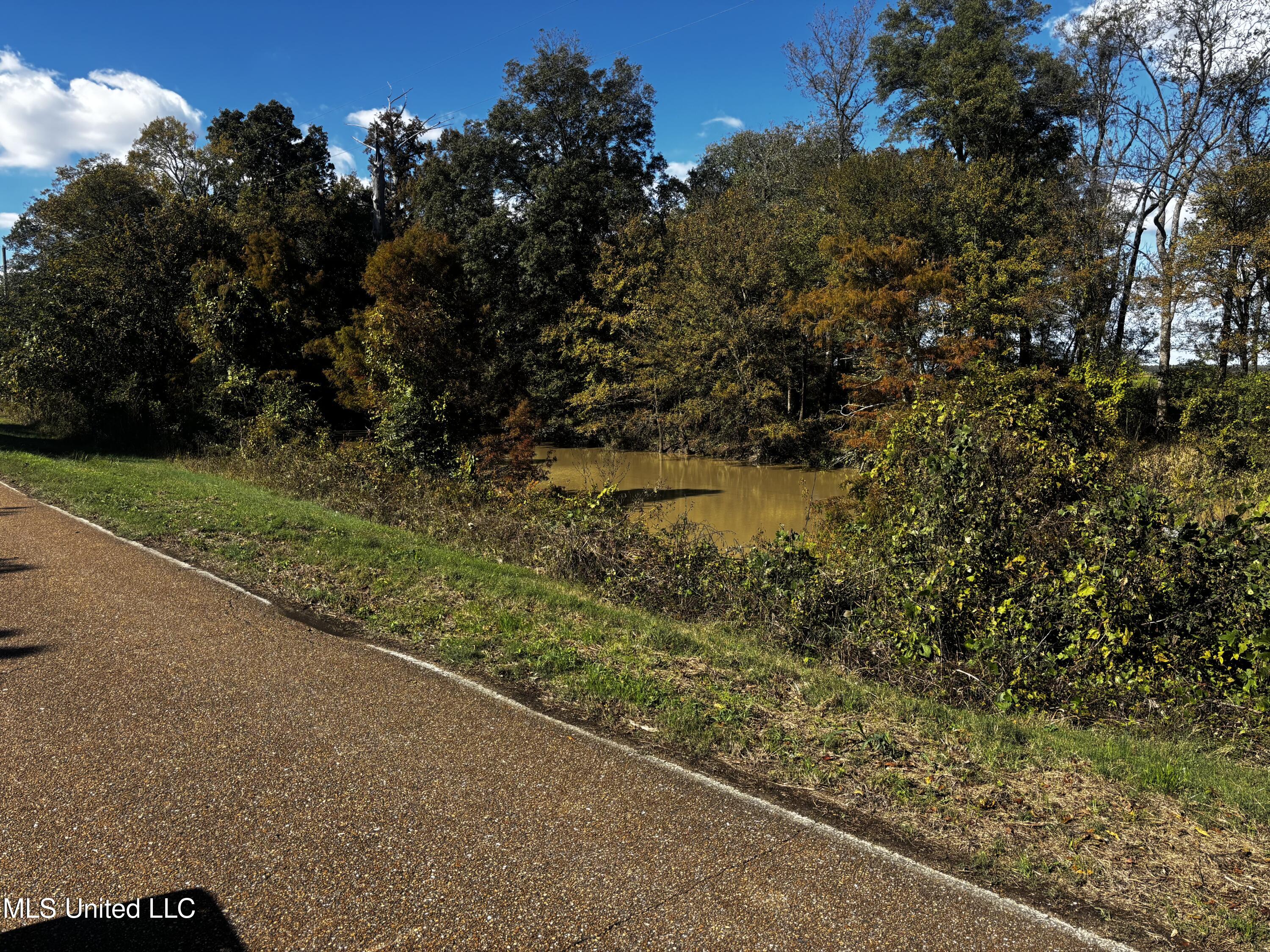 Lake Drive Dundee, MS 38626 - Photo 18 of 20 18