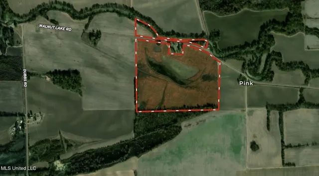 $308,125 | Lake Drive, Dundee, MS 38626