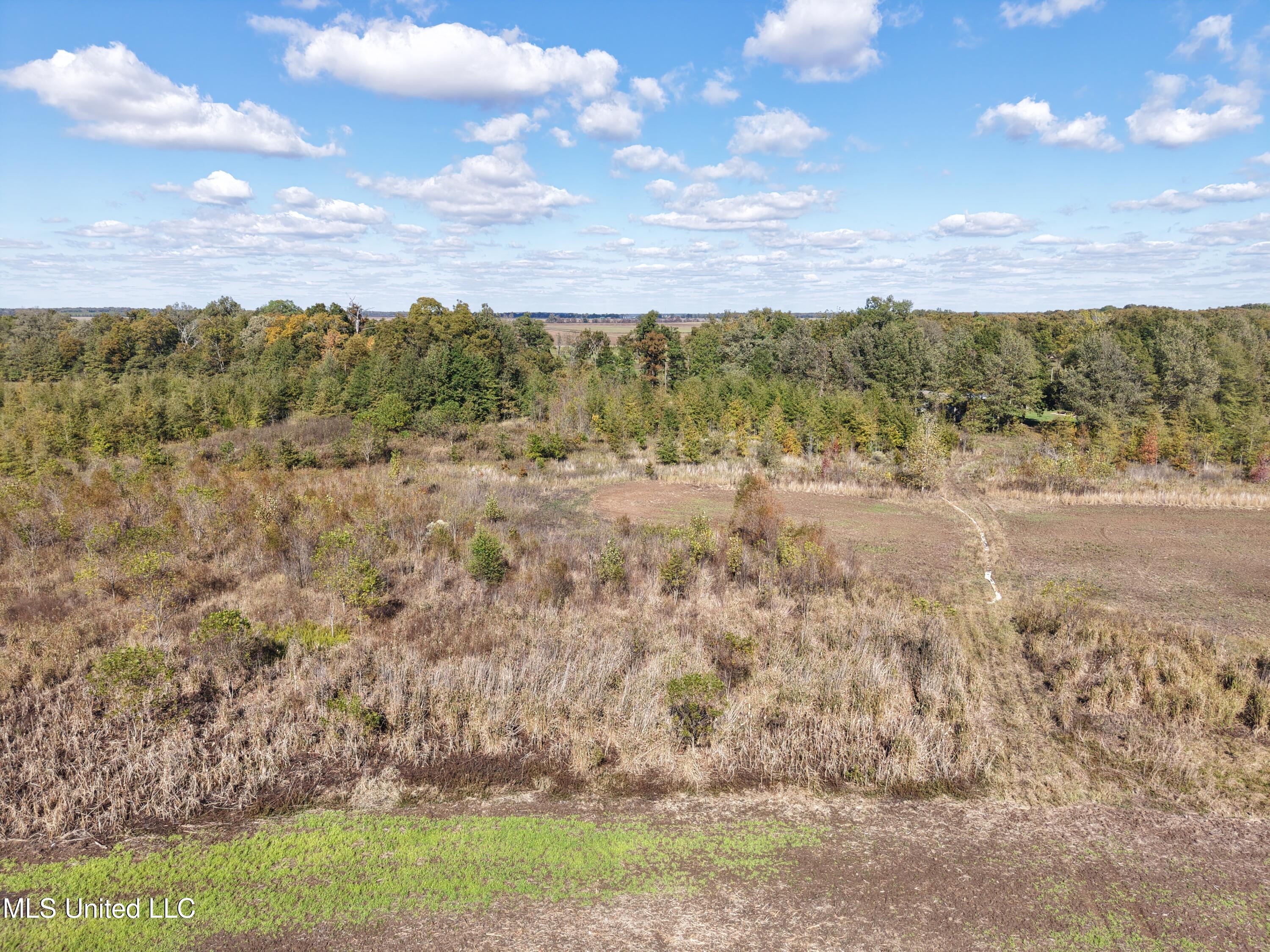 Lake Drive Dundee, MS 38626 - Photo 2 of 20 2