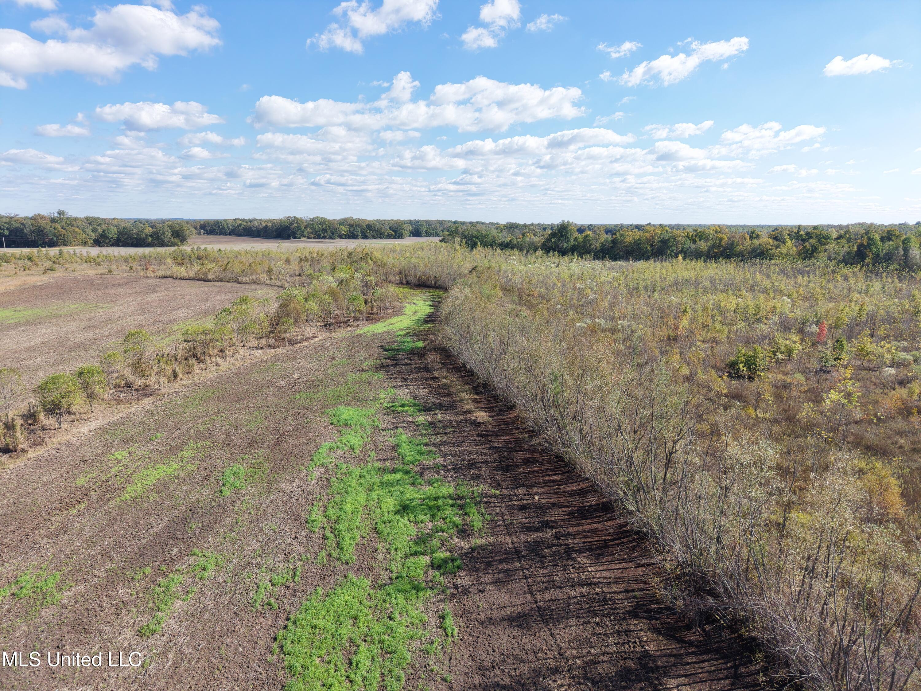 Lake Drive Dundee, MS 38626 - Photo 4 of 20 4