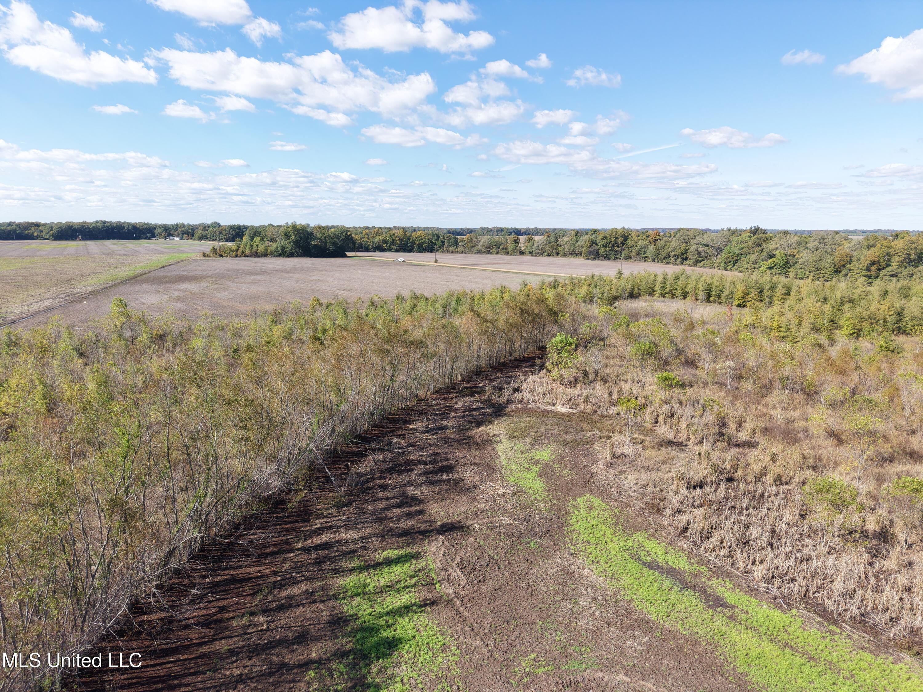 Lake Drive Dundee, MS 38626 - Photo 5 of 20 5