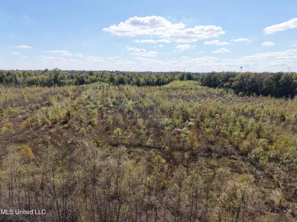 $275,500 | Lake Drive, Dundee, MS 38626