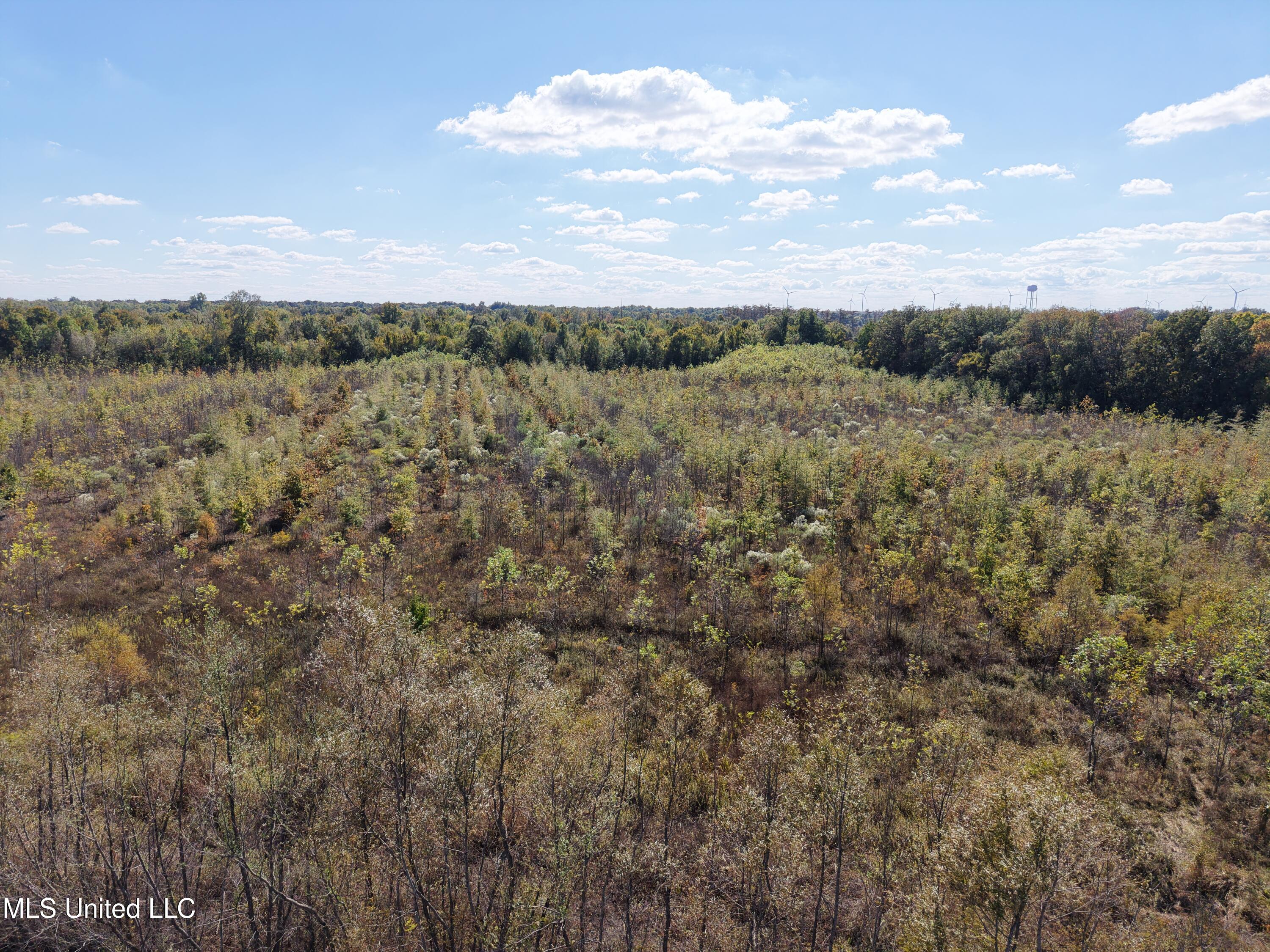 Lake Drive Dundee, MS 38626 - Photo 6 of 20 5