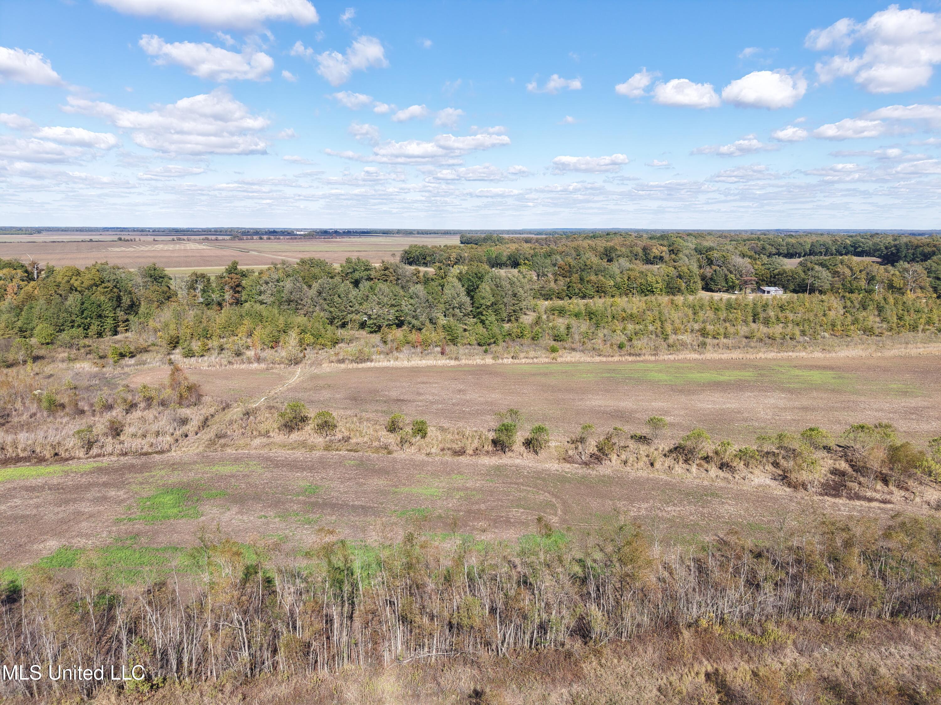 Lake Drive Dundee, MS 38626 - Photo 8 of 20 8