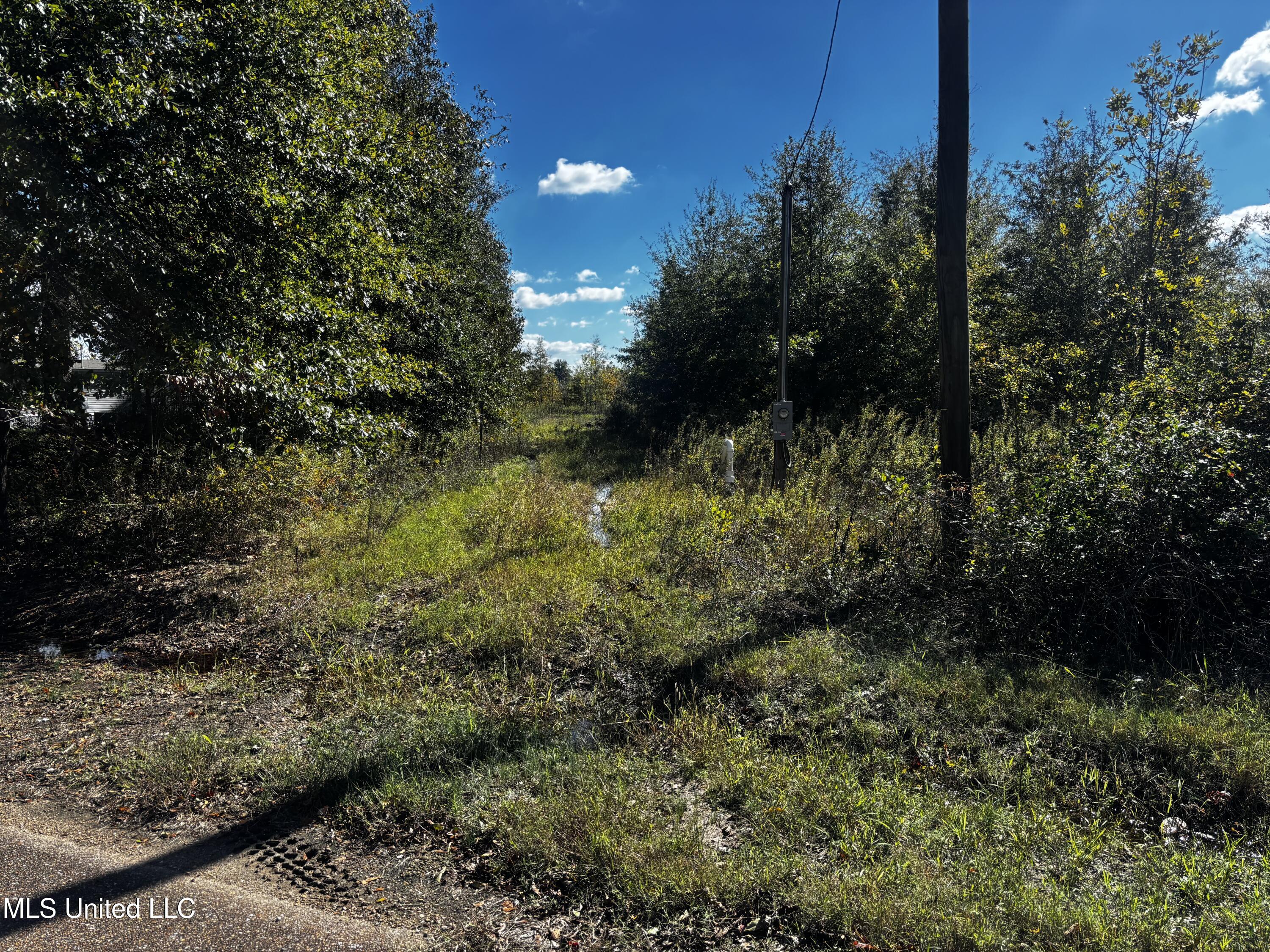 Lake Drive Dundee, MS 38626 - Photo 9 of 20 9