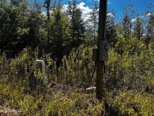 $308,125 | Lake Drive, Dundee, MS 38626